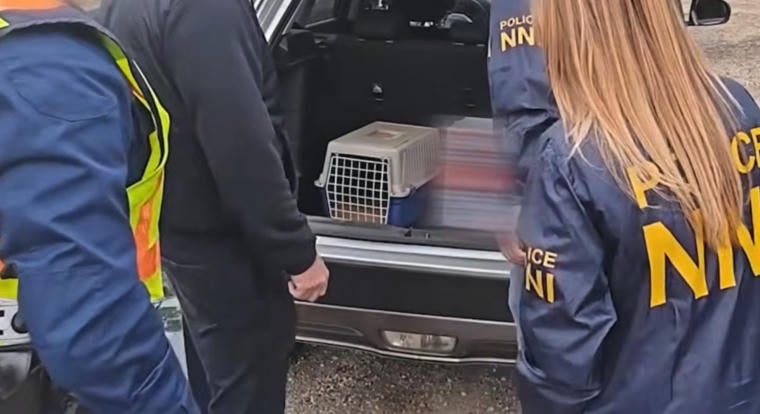 A tiszafüredi férfi, akinek nagyon tetszett a Tiger King, valószínűleg nem látta a Vírust