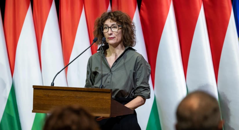 Valódi védelem nélkül: húsz év közöny története