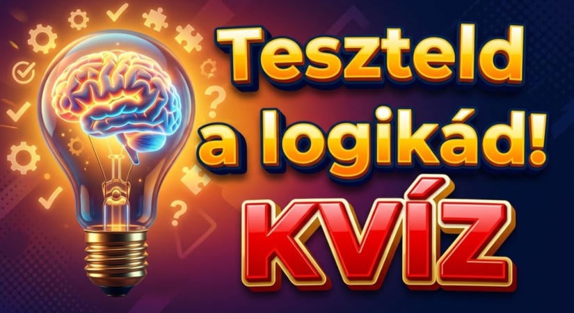 Logikai kvíz: Sikerül kibogozni a szálakat, vagy összezavarunk? Most kiderül, mennyire jó a logikád.