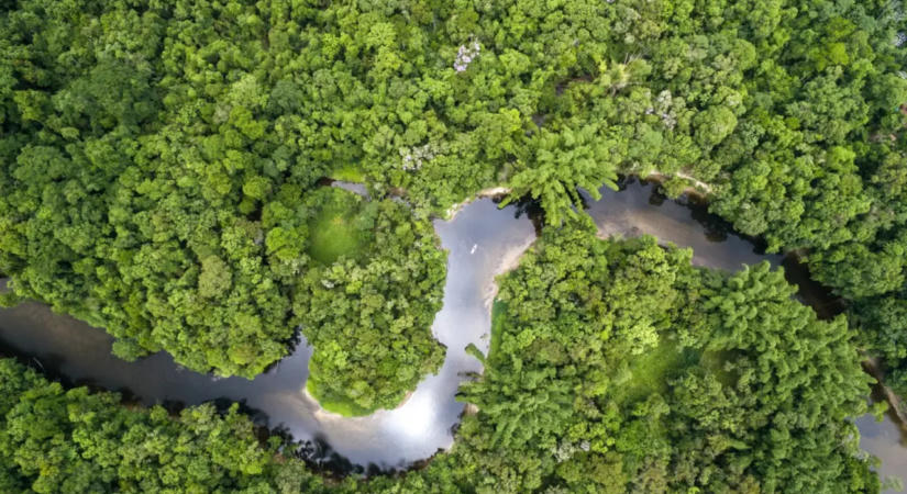 Jó hír: Tízéves mélyponton az Amazonas erdőirtása Brazíliában