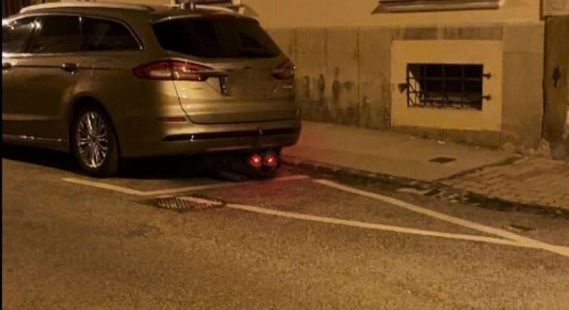 Ragadozó vadászik a pécsi belvárosban, így válik használhatatlanná a járműved reggelre (VIDEÓ)