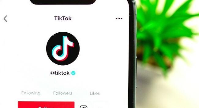 Egy újabb kormány tiltja a TikTok használatát a munkahelyi eszközökön