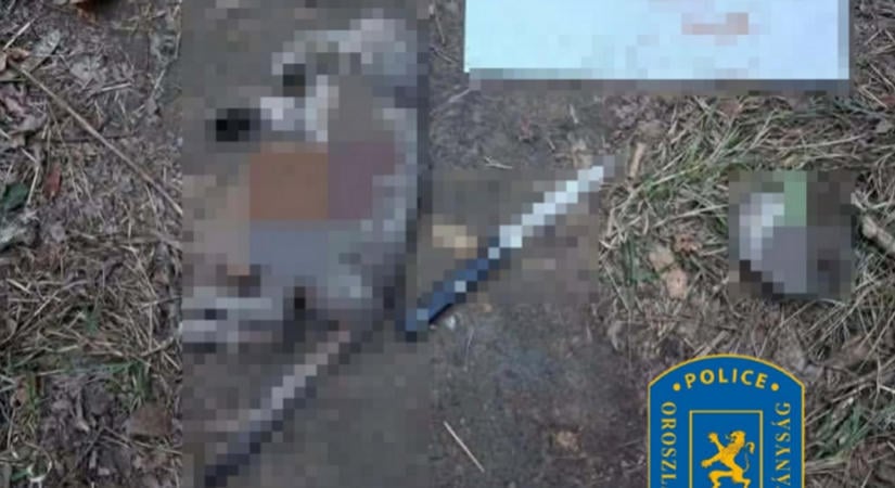 Brutálisan megölt egy macskát egy 14 éves fiú Oroszlányban: egy cetlit tett a tetem mellé, ezt üzente rajta
