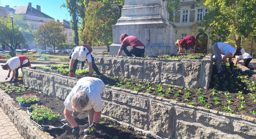 Kétnyári virágok fognak ékeskedni Győr utcáin - megkezdték a kiültetésüket a Győr-Szol munkatársai