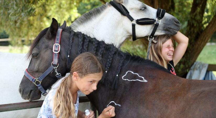Lópingáló táborlakókkal telt meg az aszalói lovarda