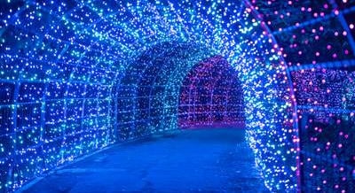 Garden of Lights és Lumina Park: új tematikával nyitnak Budapest népszerű fényparkjai