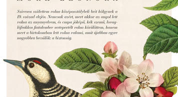 Mörk Leonóra: Ezüstszélű felhők