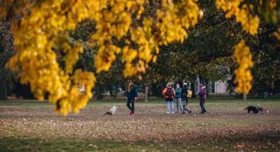 Hétvégi programajánló: Őszi Margó Irodalmi Fesztivál, Erőművek Éjszakája, Primanima Fesztivál