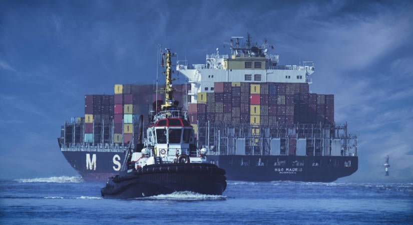 10%-al nőtt a török zöldségexport