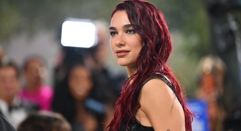 Dua Lipa a flamingós forradalom mellé állt