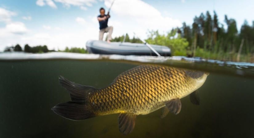 Halat sem fogott, mégis bajba került a fiatal a Tisza-tónál