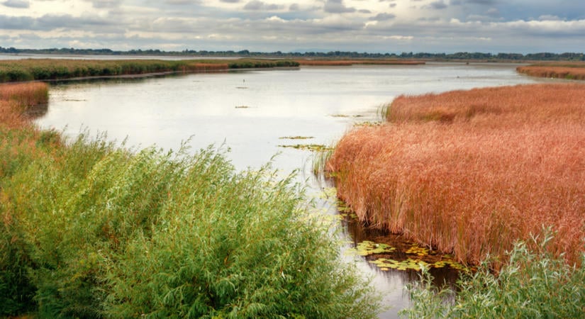 Fél éven át rögzítették a pusztító aszályt a Tisza-tónál: elkeserítő látványt nyújt a kiszáradó tómeder  Videó