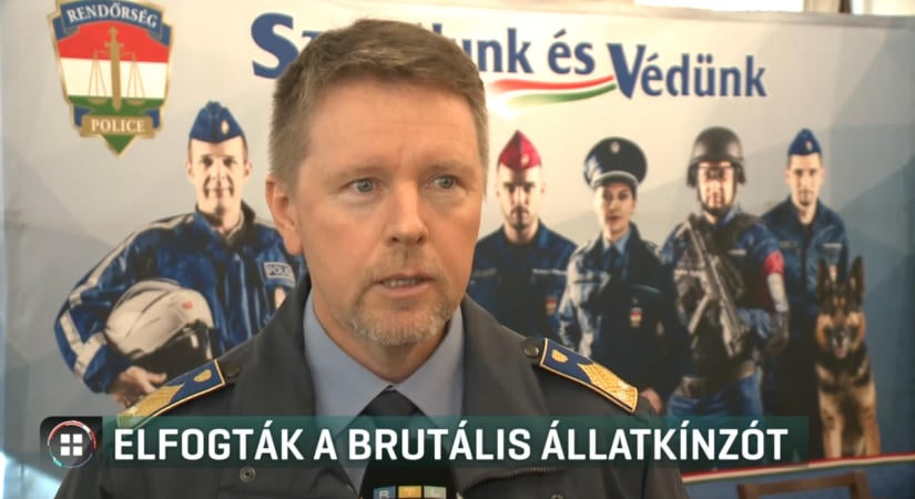 Azért ölhetett meg egy kölyökkutyát a 47 éves férfi, mert az ugrált körülötte