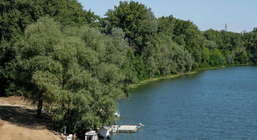 Az önkormányzat szerint a Tisza vízminőség-romlása átmeneti volt