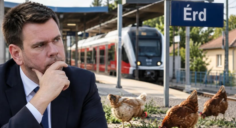 Tyúkok kapirgálnak Érden? Vitézy Dávid ennél azért fogalmazhatott volna jobban