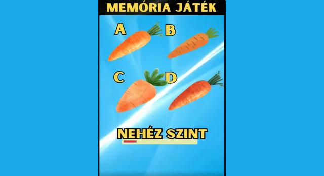 Napi memória teszt: Fejleszd az elméd!