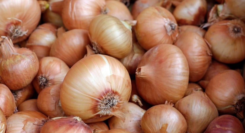 Erős szezon eleji kereslet miatt drágul a vöröshagyma Ukrajnában