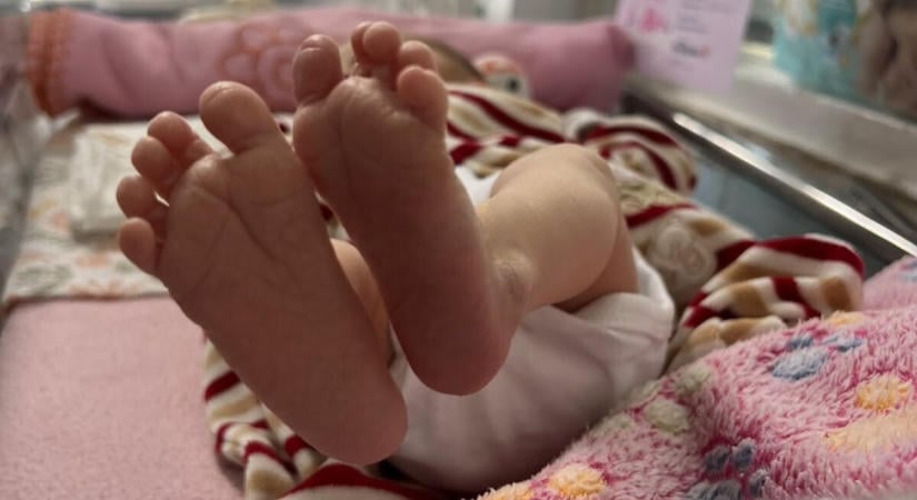 Donor anyatejjel táplálják azt a kislányt, akit a János-kórház babamentő inkubátorában találtak