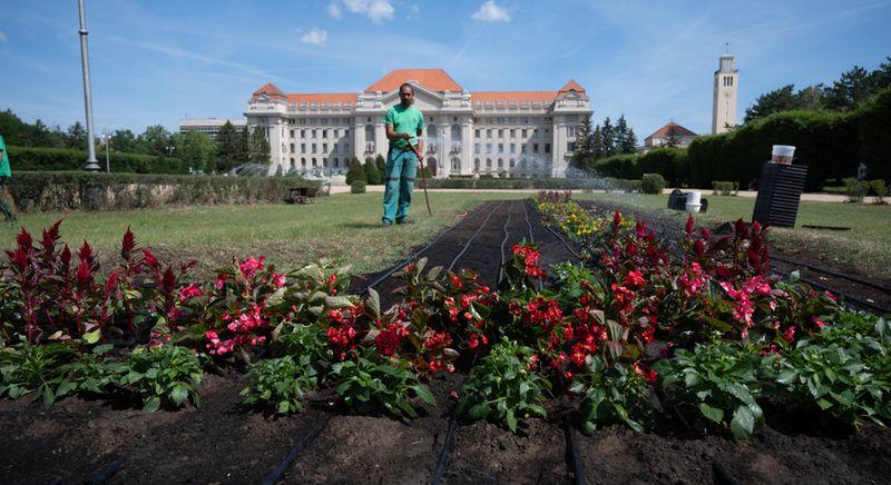 Megújultak a virágágyások a debreceni Egyetem téren