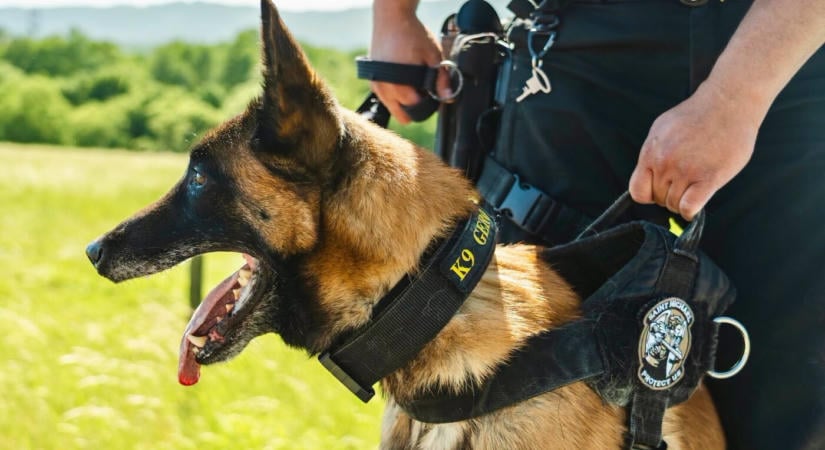 Bombariadó miatt ürítettek ki egy alapiskolát