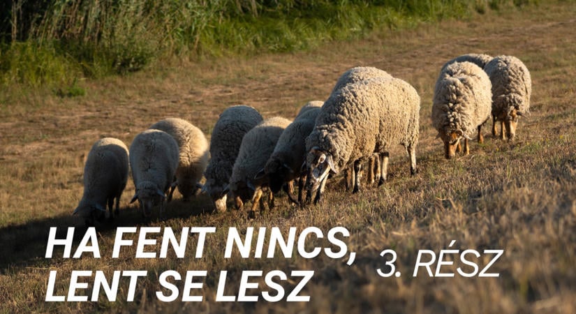 A víznek lenne helye, de ki juttatja vissza? – Videóriport