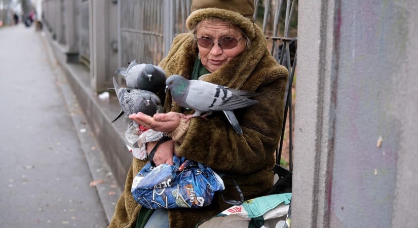 A kutatók sem értik, de a városi madarak jobban tartanak a nőktől, mint a férfiaktól