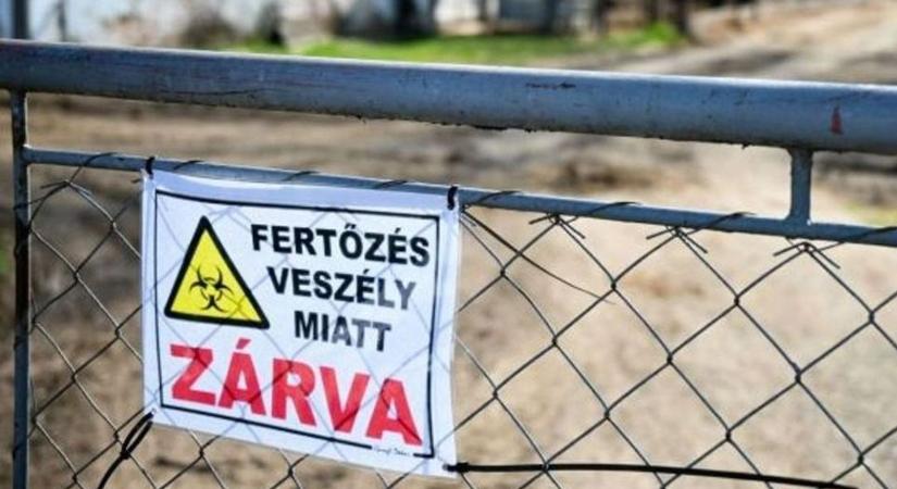 Veszélyzónát jelöltek ki Szabolcsban, friss információkat közölt a fenyegető járványról a Nébih!