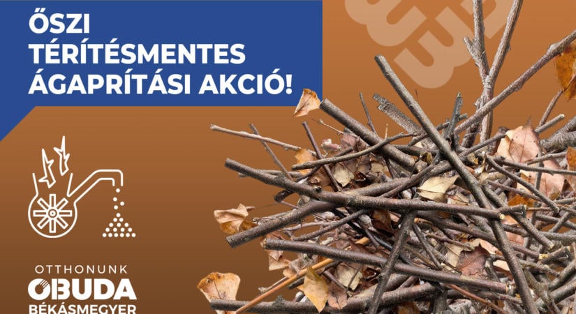 Idén is ágaprítási akció – Segítség az őszi kerti munkákhoz