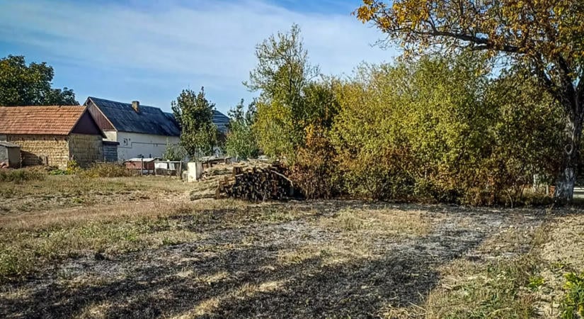 12 tűz keletkezett Kárpátalja ökoszisztémáiban az elmúlt 24 órában, többségük magánházak közelében