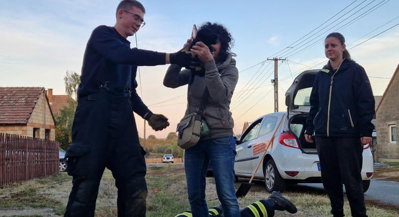 Kölyökkutyákat mentettek a kötelesek