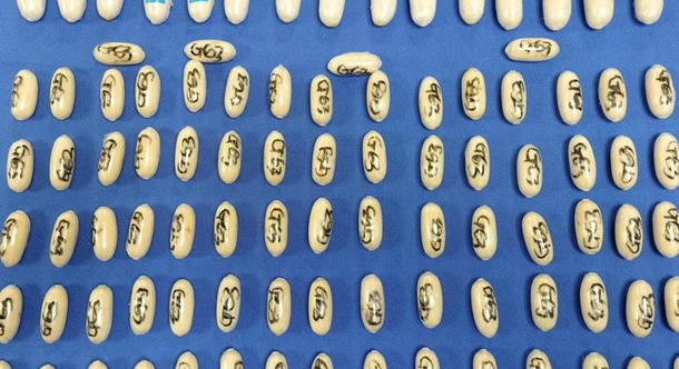 109 kokainkapszulával a gyomrában tartóztattak le egy férfit Mallorcán