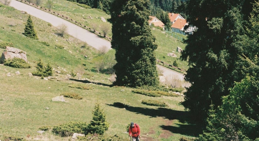 Rejtélyes körülmények között vesztette életét a Kéktúra útvonalon a 60 éves férfi