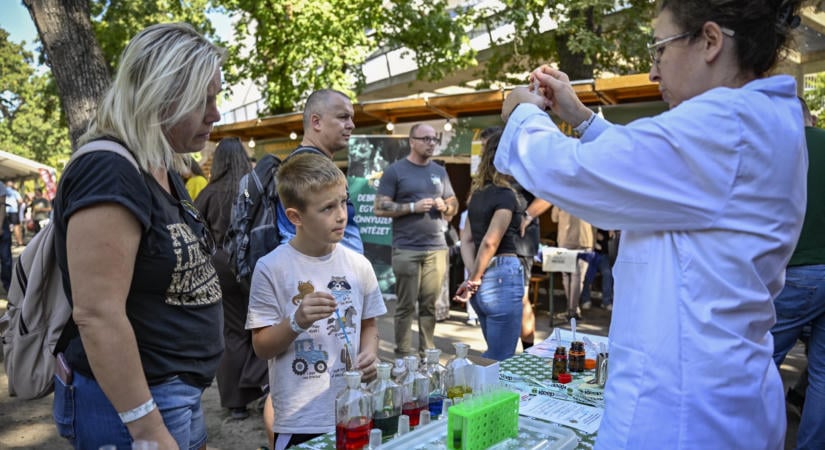 Nemzetközivé válhat az Alumni Piknik