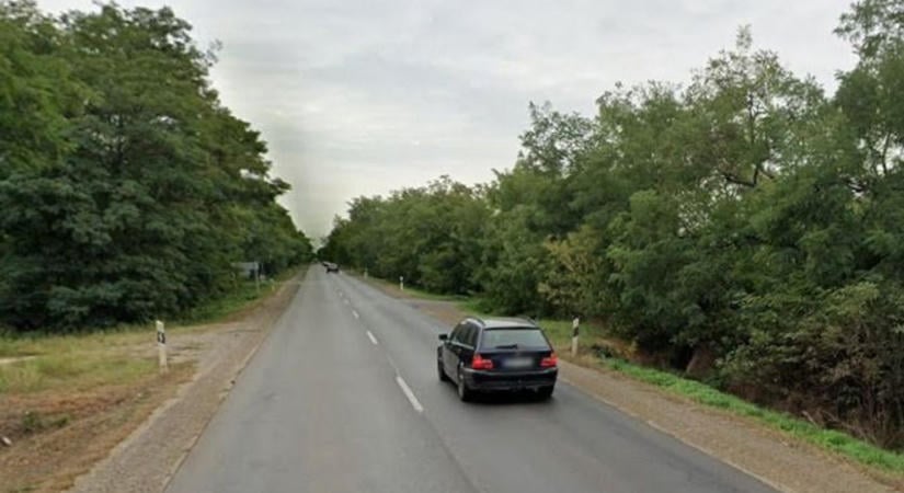 Ezt látni kell: nem mindennapi lakót sikerült lencsevégre kapni Nagyszállás közelében