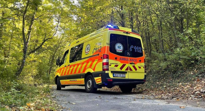 A Pilisbe rohantak a tűzoltók, túrázó került bajba
