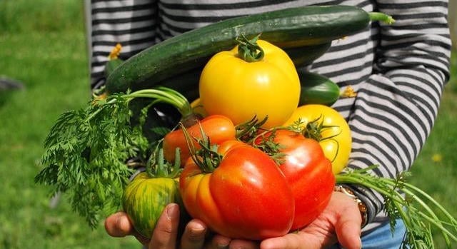 FruitVeB: a kutatási eredmények gyorsabb agrár- és élelmiszeripari hasznosítását sürgeti az Európai Bizottság