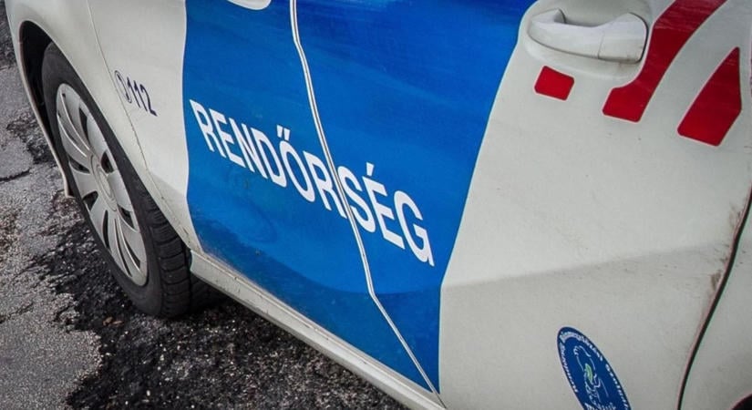 Őzzel ütköztek a rendőrök Veszprém megyében – videón a vadgázolás