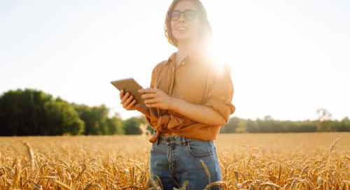 Magyar márkák, korszerű technológia - ez lehet az agrárium kitörési útja
