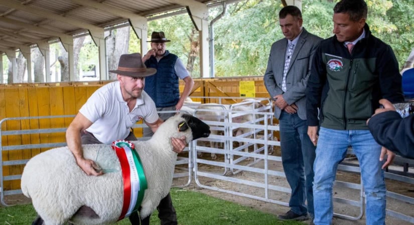 Látogatórekord a KÁN Egyetemi Napokon: 45 ezren az élő hagyományok és modern megoldások találkozásán