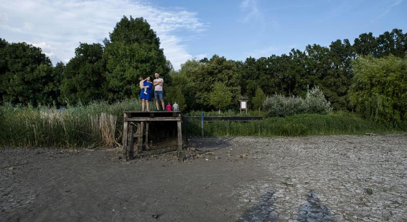 Az önálló minisztérium mellett önálló ombudsmant is kérnek a zöldek a Tiszától