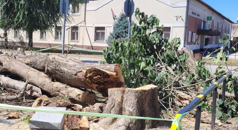 Veszélyes akció a földeáki főtéren – gyorsak voltak az önkéntes tűzoltók
