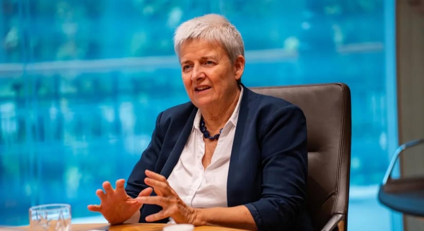 Vagyonellenőr volt Lannert Judit férje, most a miniszter világítaná át a rendszert