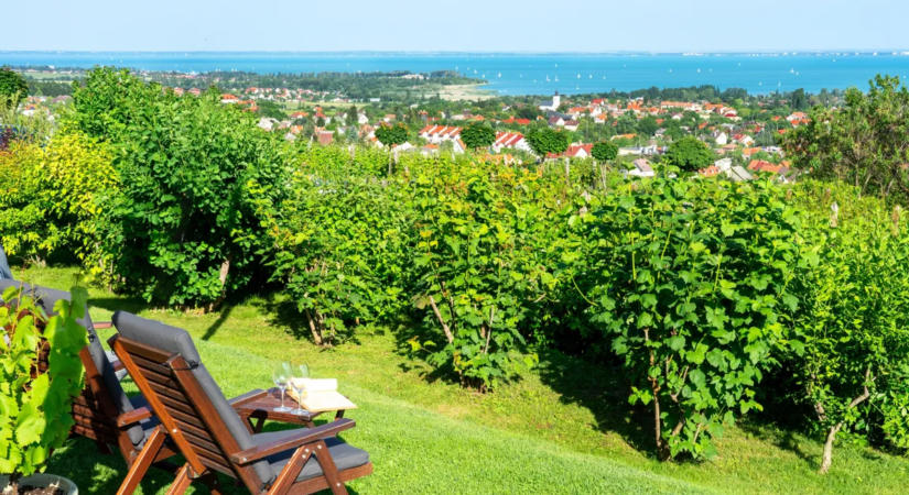 Top 5 balatoni étterem, ahol a lenyűgöző panoráma és az ízletes fogások kéz a kézben járnak