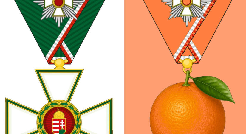 Az F-jelű kitüntetettek – Dési János jegyzete