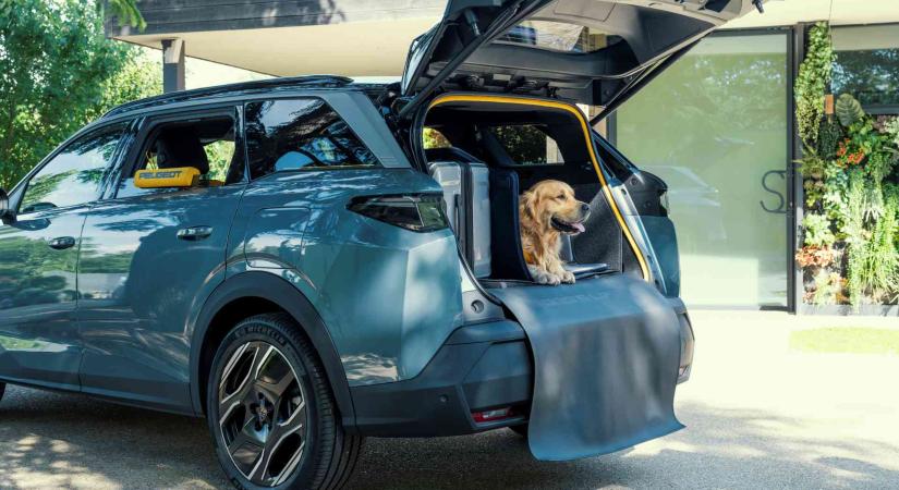 A Peugeot E-5008 már a kutyák kedvében is járna: ilyen lehet a négylábúak álomautója