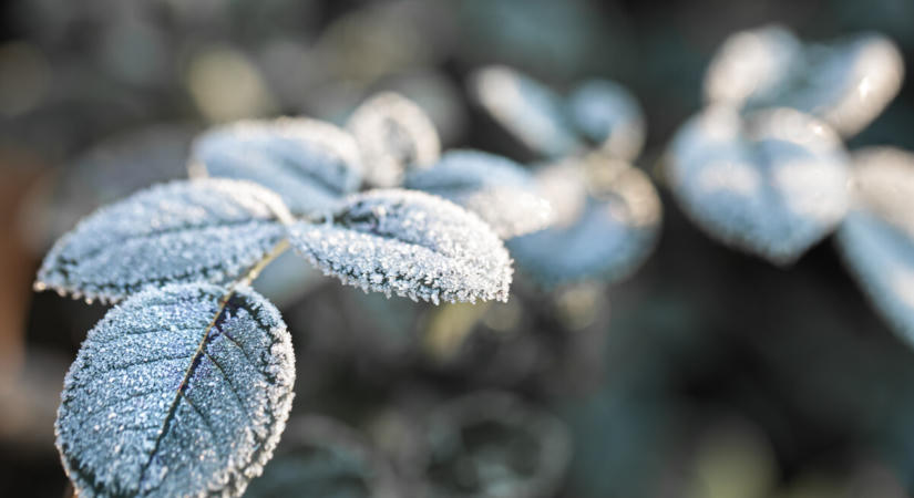 Több mérőállomáson is 0 Celsius-fokhoz közeli hőmérsékletet mértek