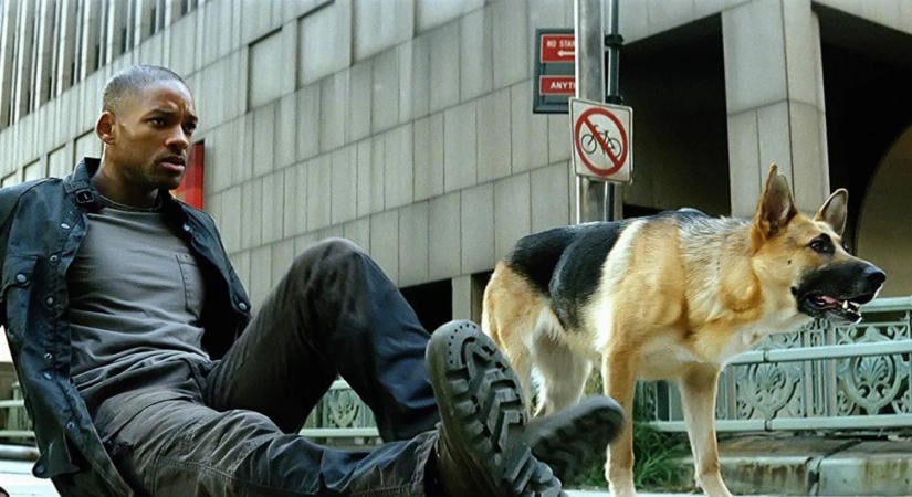 Hosszú idő után életjelet kaptunk a Legenda vagyok folytatásáról, és az írója tett egy sokakat megnyugtató ígéretet is a film kapcsán