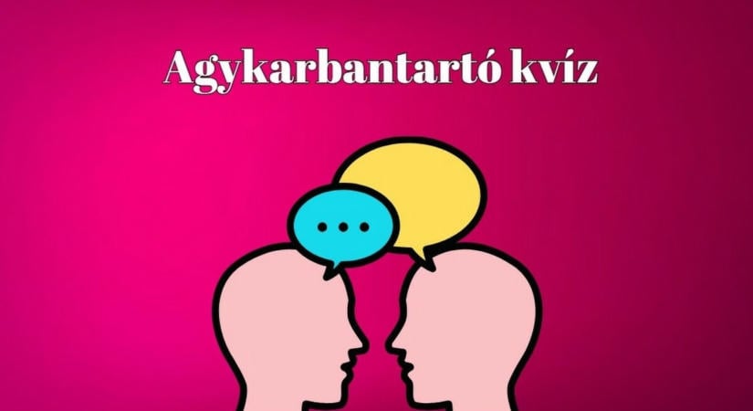 Kvízkaland a négyzeten - Minden nap kell egy kis agytorna. Legyen ez az egyik