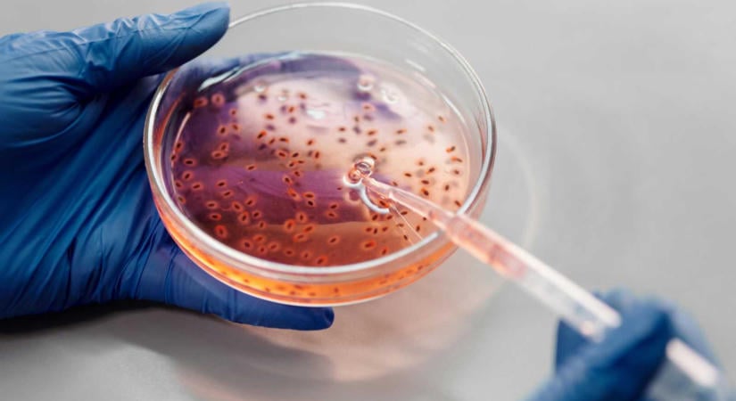 Két aktív hepatitisz gócpontot azonosítottak Fehér megyében – Sokan visszautasítják a védőoltást