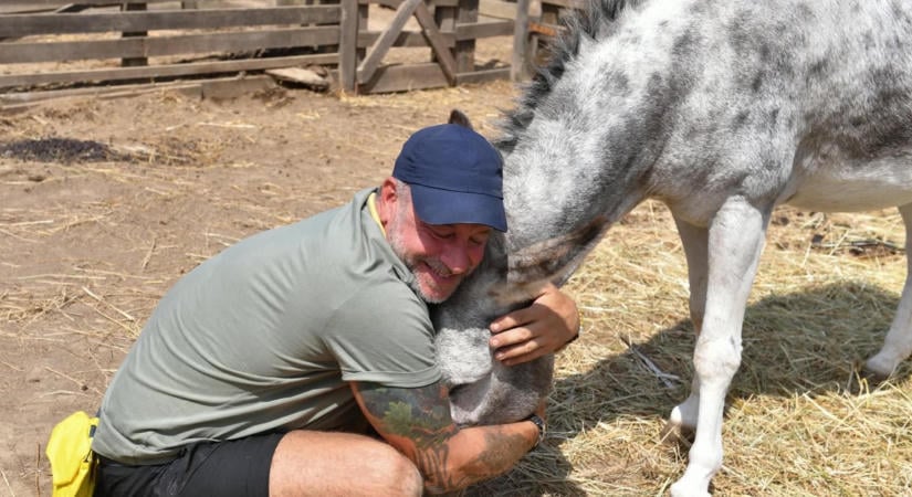 "Gyönyörű célt szolgálunk" - Állatvédelmi felvonulás lesz szombaton Budapesten! A TV2 csibésze és a Farm VIP bombázója is ott lesz